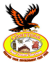 How long has your company been in business? Cherymae Pest Control Services Pasay City Philippines Facebook