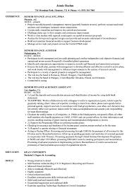 Simply fill in your details and generate beautiful pdf and html. Senior Finance Resume Samples Velvet Jobs