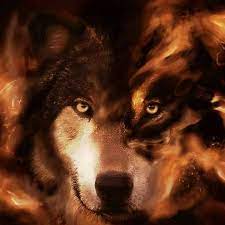 Man müßte aufhören zu leben. Einsamer Wolf Home Facebook