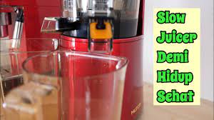 Kombinasikan nanas dengan bayam yang kaya. Hurom Pressed Juice Jus Sayur Bayam Ala Keluarga Jepang Youtube