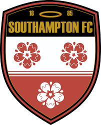 Cartoon football, victor wanyama, tottenham hotspur fc, kenya national football team, southampton fc, football player, goal, midfielder png. Pin On Badges