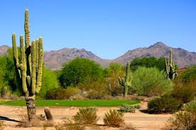 Near coral gables & central ave phoenix, az. Golf Courses In Scottsdale 23 Hotel Resort And Public Daily Fee Courses Homes For Sale Real Estate In Scottsdale Az Az Golf Homes