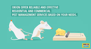 Based in kolkata, orion pest solutions pvt. Orion Pest Solution Orionpests Profile Pinterest