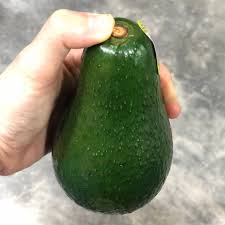 Image result for Dark Avocado 1977 Fedders