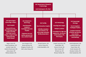 Department Spotlight Obstetrics Gynecology Keck School