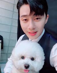 Everyone Wants to Be Hugged the Way Park Seo Joon Hugs His Doggo, Simba