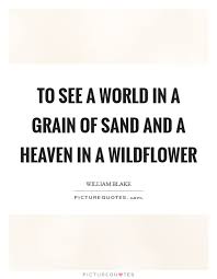 Grain Of Sand Quotes Sayings Grain Of Sand Picture Quotes