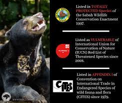 Respect aboriginal and treaty rights. Do You Know Sun Bears Are Listed Bornean Sun Bear Conservation Centre Bsbcc Facebook