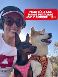 Celebrando a las mamás perrunas: Amor y locuras compartidas