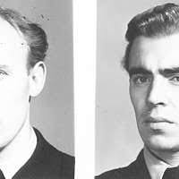 Arbutus (1910) (14594984219)