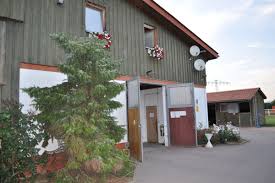 Travelling the world and writing about it. Stallungen 7 Star Stables