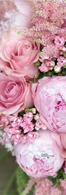 Nails by tammy hours and nails by tammy locations along with phone number and map with driving directions. Pin By Tammy Ostrander On She Is All This Flower Arrangements Pink Flowers Beautiful Roses