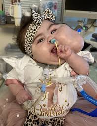 Obituary information for Isabella Grace Fontes