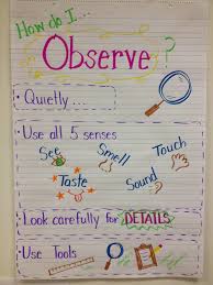 Science Observers Anchor Chart Science Writing Science