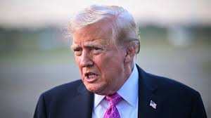 Ciaran McKay: Missing person appeal launched for Co Down man last seen in  forest area