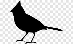 Cardinal clipart image black and white bird outline showing a. Bird Clip Art Vector Graphics Northern Cardinal European Robin Silhouette Blackandwhite Transparent Png
