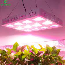 Full specturm led grow lights, include red,blue,white,ir and uv; Cob Led Grow Light Full Spectrum 300w 600w 1200w Led Plant Grow Lamp Panel Indoor Plants All Stage Seedings Veg Bloom Lighting Led Grow Lights Aliexpress