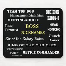Male Boss Nicknames Cruel Funny Job Titles Joke Mouse Pad Zazzle Com In 2020 Funny Job Titles Jokes Funny