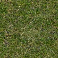 Seamless Tileable Grass Texture Grass Textures Grass Texture Seamless Grass Seamless