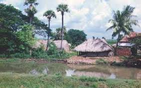 Image result for tamilnadu images