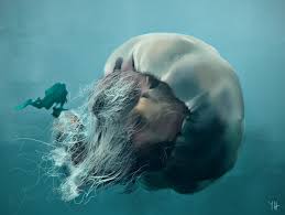 The magnificent lion's mane jellyfish evolved as native to a restricted area of the world. Pin On Hoaxes Misidentified Pics Fake Pics And Stories