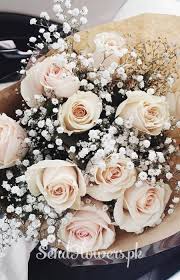 We did not find results for: Send Flowers To Pakistan From Usa Same Day Flower Delivery From Usa