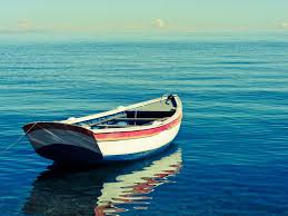 The fisherman replied he had enough to support his family's immediate needs. Life Money Goals And The Parable Of The Mexican Fisherman American Financial Planning