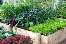 Vidaxl hochbeet 160x80x77cm verzinkter stahl pflanzbeet frühbeet gartenbeet. Hochbeete 10 Tipps Fur Einsteiger Mein Schoner Garten