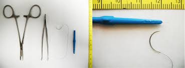 Ultraviolet radiation as disinfection for fish surgical tools