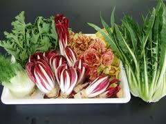 宮城県産のイタリア野菜の定着を目指して 注目の農業技術 みんなの農業広場 モバイル版