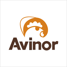 Vil du ha reisetips, informasjon om nye direkteruter, netthandel, shopping, mat og drikke på flyplassene rett i innboksen ? Avinor Photos Facebook