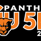 Greenville University Panther 5K event image