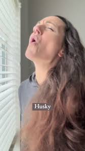 Funny Dog Problems: Why Sleeping In Isn't an Option