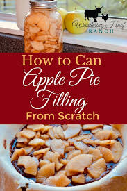 One of my favorite fall canning recipes! Canned Apple Pie Filling Recipe Wandering Hoof Ranch Recipe Apple Pies Filling Canned Apple Pie Filling Canned Apples