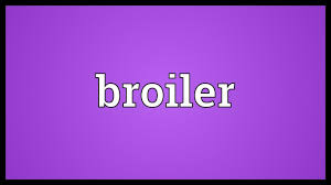 Broil is defined as an intense or violent fight. Broiler Meaning Youtube