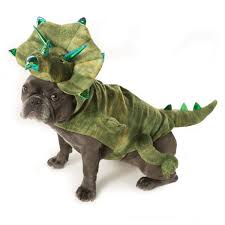 Null Dog Dinosaur Costume Dinosaur Costume Pet Costumes