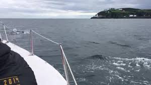 Maybe you would like to learn more about one of these? Douglas Bay Yacht Club Home Facebook