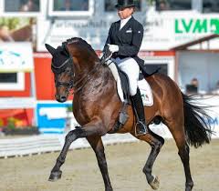 We did not find results for: Gestut Fohlenhof Hassloch Furst Magic