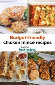 70 Chicken Mince Recipes That Won T Hurt Your Wallet Mince Recipes Recipe Using Chicken Mince Recipes Dinner
