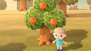 We did not find results for: Animal Crossing Fruit Grow Back Time Eating Benefits And How To Plant Fruit Trees In New Horizons Eurogamer Net