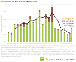 Indonesia Claims Record Low Deforestation But Accounting Raises  Questionssexiezpix Web Porn