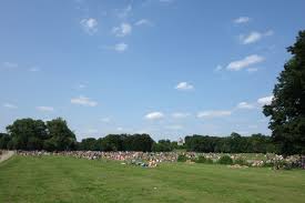 Englischer Garten New York City Central Park Park Dolores Park