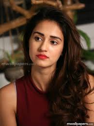 07.10.2021 · disha patani posted a picture on her instagram handle in a black corset tulle gown where she looked breathtaking. Disha Patani Beautiful Hd Photoshoot Stills 24229 Disha Patani Images In Hd 711x948 Wallpaper Teahub Io