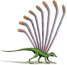 pin on antes de los dinosaurios