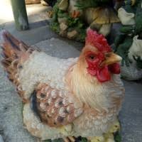 Pada gambar di bawah yang menunjukan sentromer adalah nomor …. Jual Patung Ayam Terlengkap Harga Murah Grosir July 2021