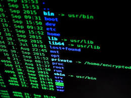Jun 23, 2021 · sie gelten als erfolgreichste bankräuber der welt: 1 000 Besten Hacker Fotos 100 Kostenloser Download Pexels Stock Fotos