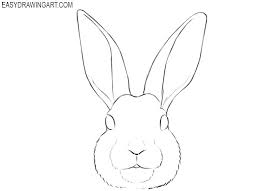See rabbit face stock video clips. How To Draw A Bunny Face Easy Drawing Art Bunny Drawing Skeleton Drawings Bunny Face