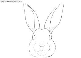 She caught it, brought it home, and began studying up on rabbits and their … How To Draw A Bunny Face Easy Drawing Art Bunny Drawing Bunny Face Drawings