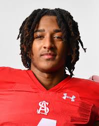 2022 All Anne Arundel County Football Team