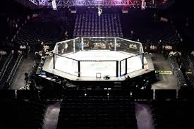 ufc tickets buy or sell ufc 2020 tickets viagogo